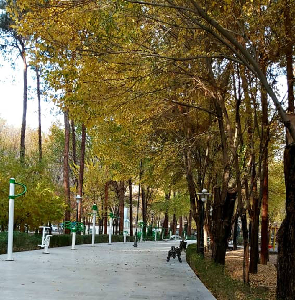 شروع روز کاری در پارک