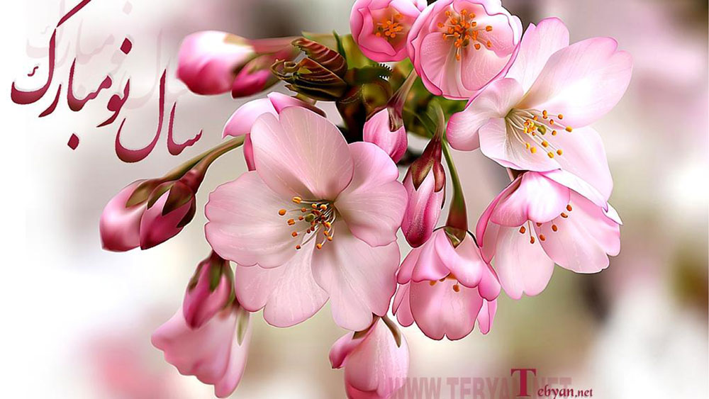 تبریک سال جدید